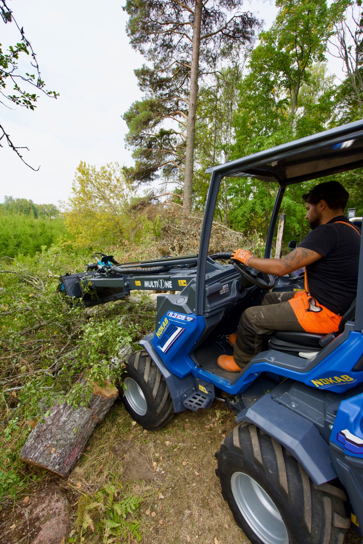 Minilastare flyttar kapade stammar efter trädfällning
